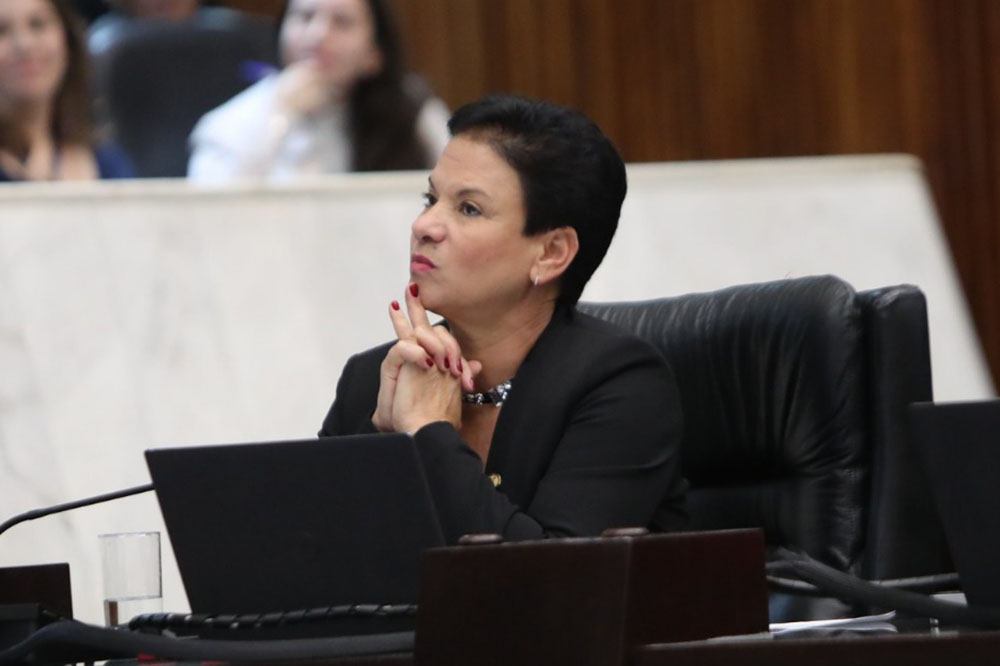 Deputada Marli Paulino Protocola Lei Para Criar A Semana Estadual De