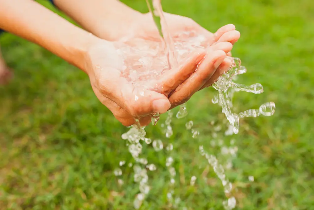 Água: 1 litro de óleo pode poluir até 25 mil litros de água; saiba como descartar corretamente 1 agua