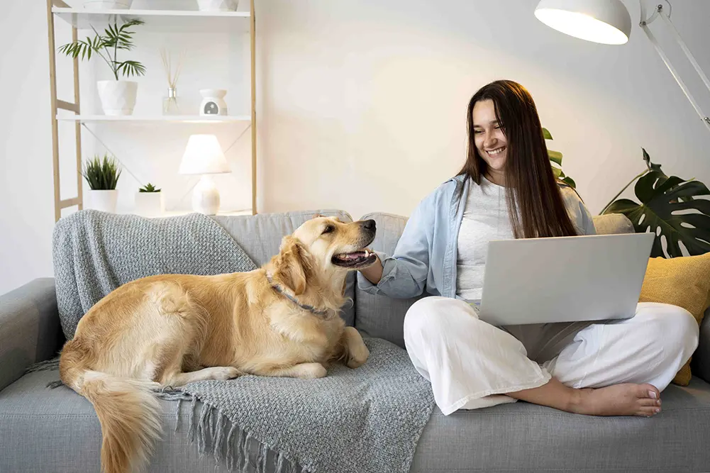 Alergia a pets tem solução com cuidados diários e produtos adequados 1 alergia a pets